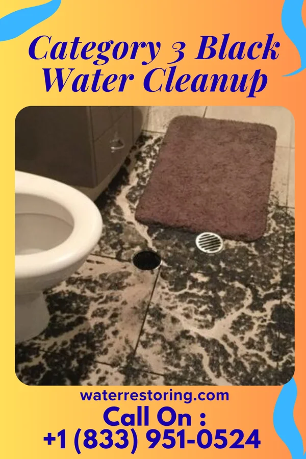 Category 3 Black Water Cleanup in San Antonio, TX